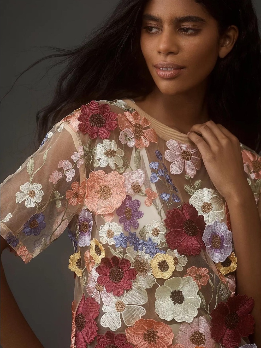 Anthropologie/Dolan Sheer Floral Embroidered Top